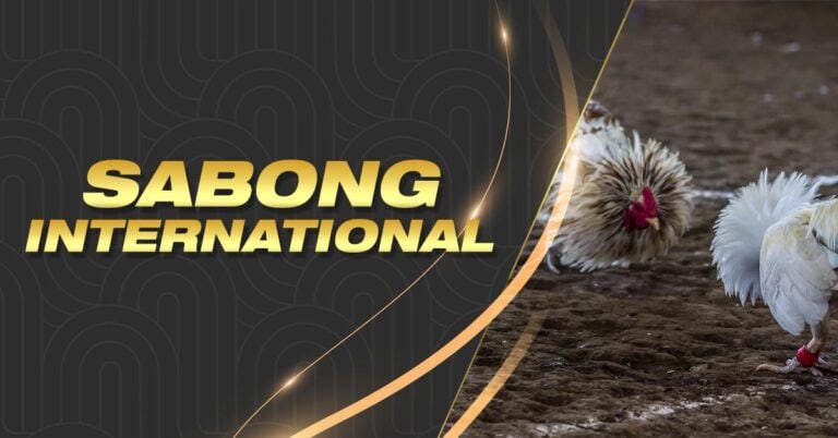 mlbb ducati bingo pattern bingo blitz 100 free credits